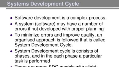 system development