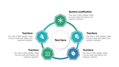 system justification